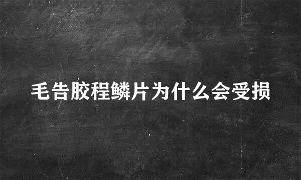 毛告胶程鳞片为什么会受损