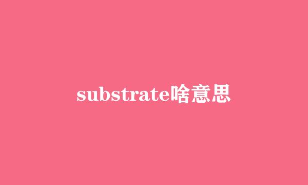 substrate啥意思