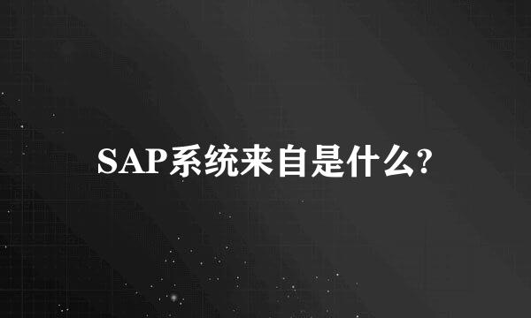 SAP系统来自是什么?