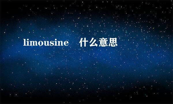 limousine 什么意思