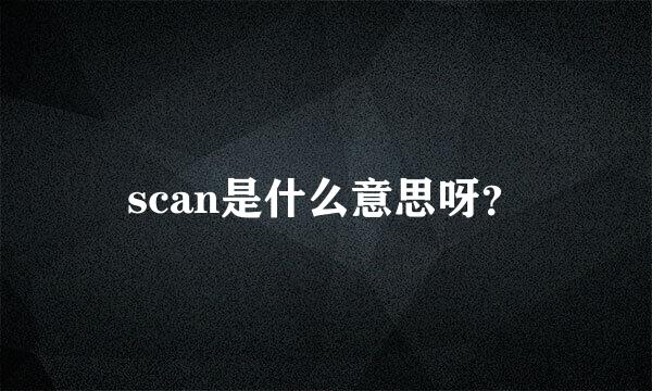 scan是什么意思呀？