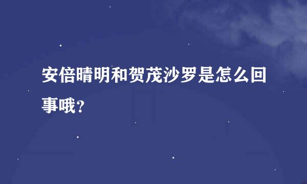 安倍晴明和贺茂沙罗是怎么回事哦？