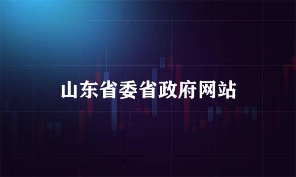 山东省委省政府网站