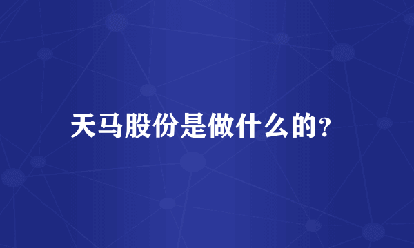 天马股份是做什么的？