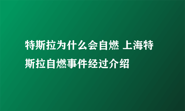 特斯拉为什么会自燃 上海特斯拉自燃事件经过介绍