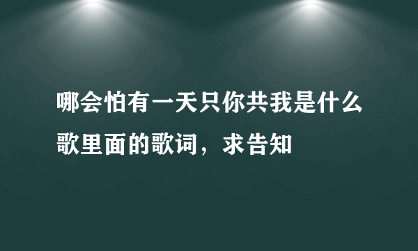 哪会怕有一天只你共我是什么歌里面的歌词，求告知