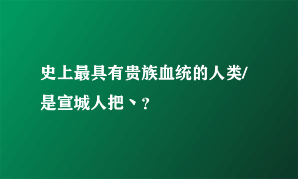 史上最具有贵族血统的人类/ 是宣城人把丶？