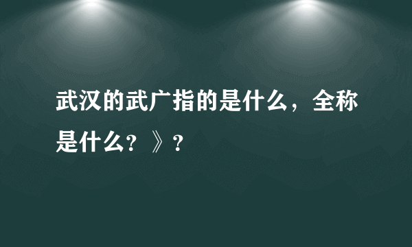 武汉的武广指的是什么，全称是什么？》？