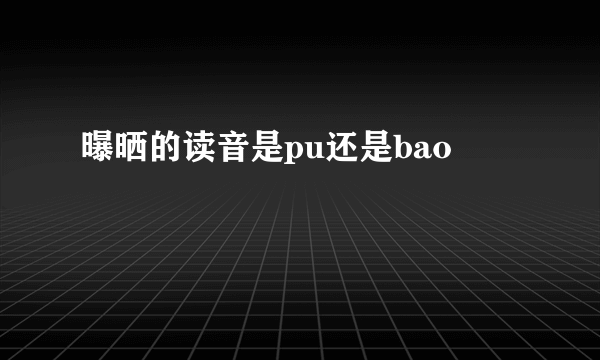 曝晒的读音是pu还是bao