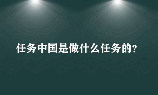 任务中国是做什么任务的？