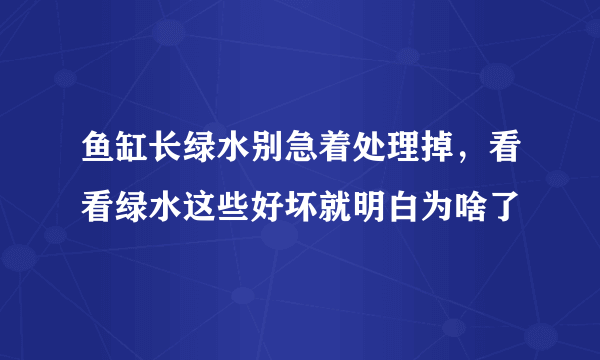 鱼缸长绿水别急着处理掉，看看绿水这些好坏就明白为啥了