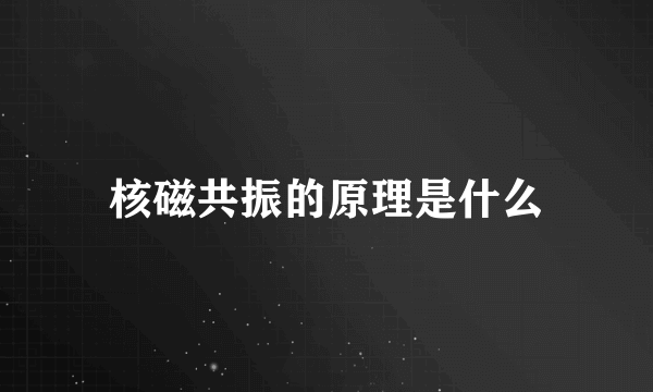 核磁共振的原理是什么