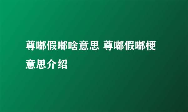 尊嘟假嘟啥意思 尊嘟假嘟梗意思介绍