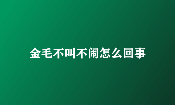 金毛不叫不闹怎么回事