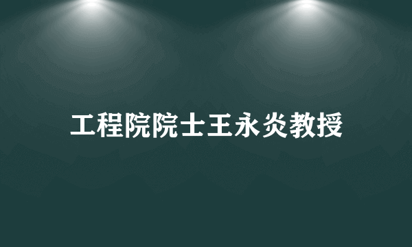 工程院院士王永炎教授