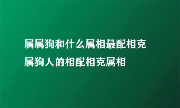 属属狗和什么属相最配相克 属狗人的相配相克属相