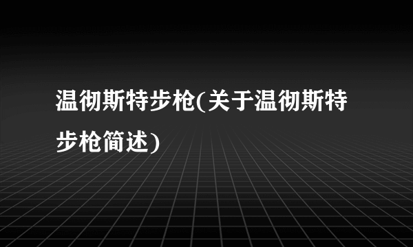 温彻斯特步枪(关于温彻斯特步枪简述)