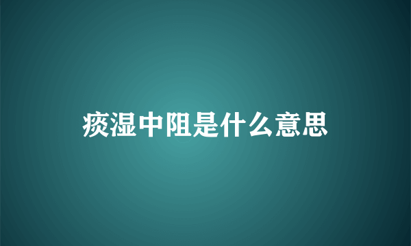 痰湿中阻是什么意思