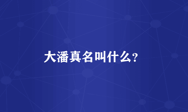 大潘真名叫什么？