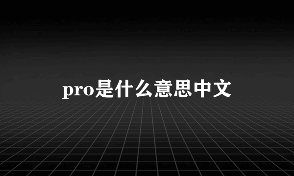 pro是什么意思中文