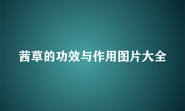 茜草的功效与作用图片大全