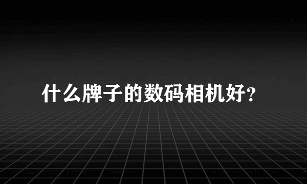 什么牌子的数码相机好？