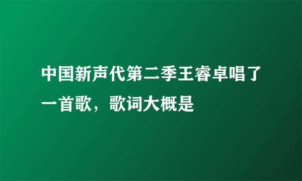 中国新声代第二季王睿卓唱了一首歌，歌词大概是