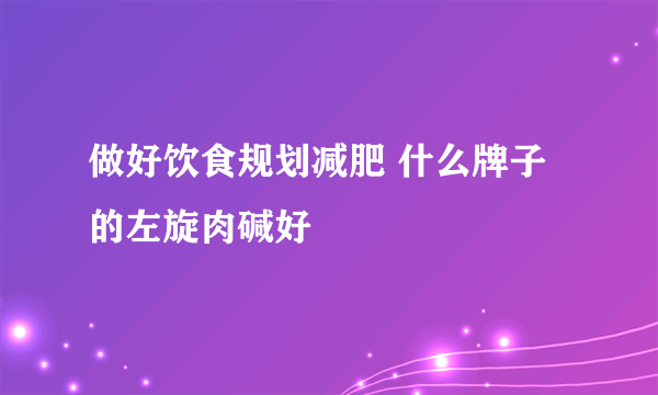 做好饮食规划减肥 什么牌子的左旋肉碱好