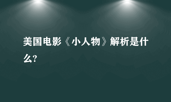 美国电影《小人物》解析是什么?