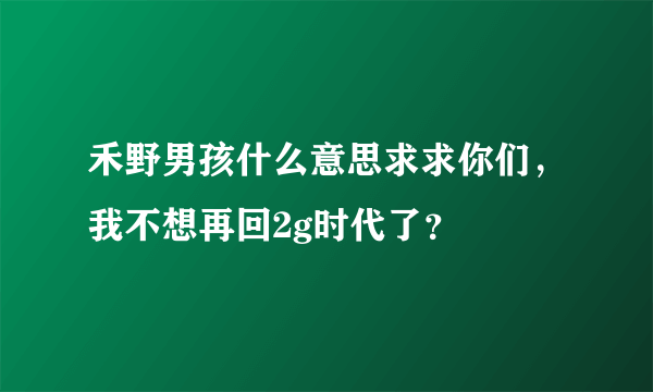 禾野男孩什么意思求求你们，我不想再回2g时代了？