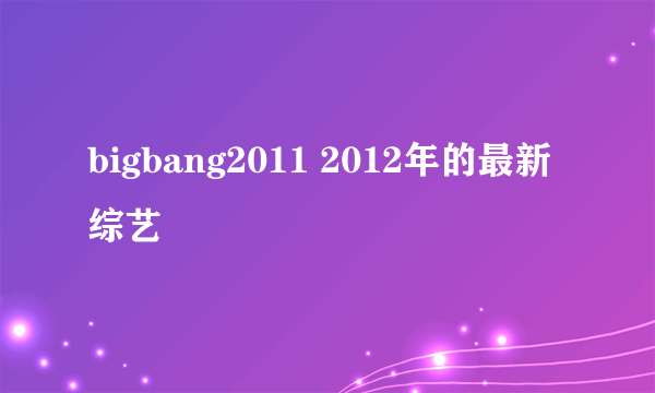 bigbang2011 2012年的最新综艺