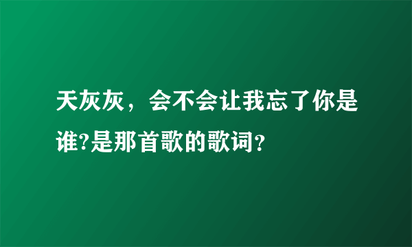 天灰灰，会不会让我忘了你是谁?是那首歌的歌词？