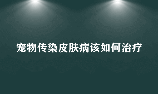 宠物传染皮肤病该如何治疗