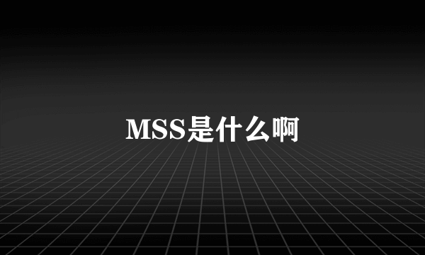 MSS是什么啊