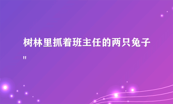 树林里抓着班主任的两只兔子