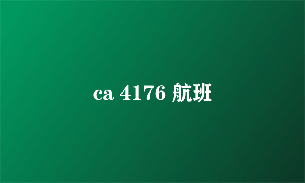 ca 4176 航班