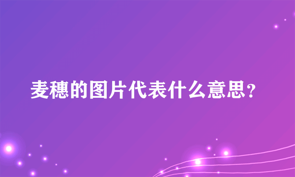 麦穗的图片代表什么意思？