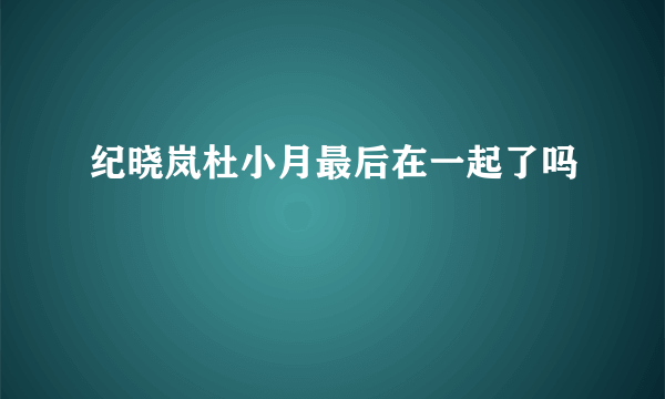 纪晓岚杜小月最后在一起了吗