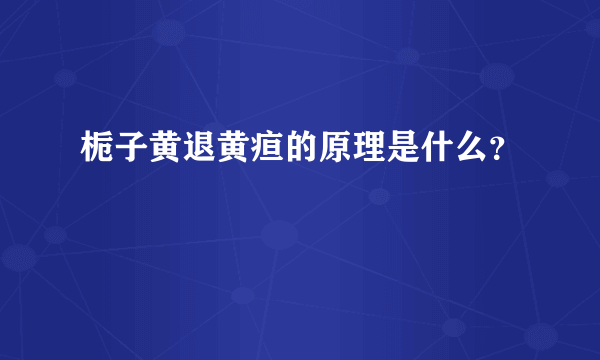 栀子黄退黄疸的原理是什么？