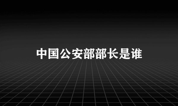 中国公安部部长是谁