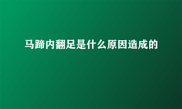 马蹄内翻足是什么原因造成的