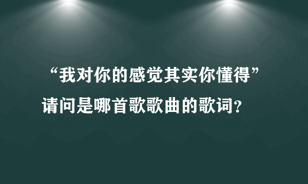 “我对你的感觉其实你懂得”请问是哪首歌歌曲的歌词？