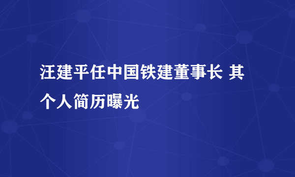 汪建平任中国铁建董事长 其个人简历曝光