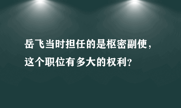 岳飞当时担任的是枢密副使，这个职位有多大的权利？