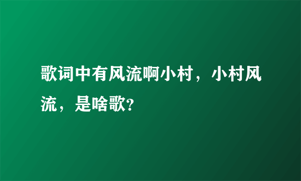 歌词中有风流啊小村，小村风流，是啥歌？