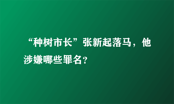 “种树市长”张新起落马，他涉嫌哪些罪名？