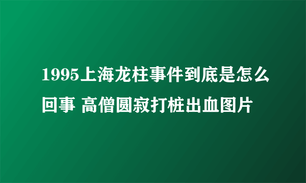 1995上海龙柱事件到底是怎么回事 高僧圆寂打桩出血图片