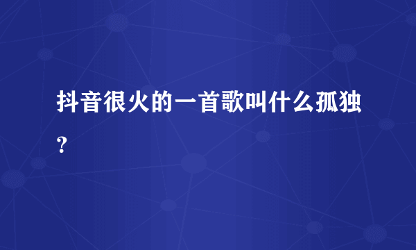 抖音很火的一首歌叫什么孤独？