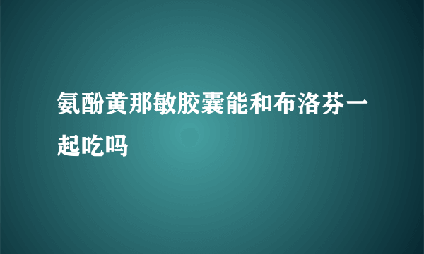 氨酚黄那敏胶囊能和布洛芬一起吃吗