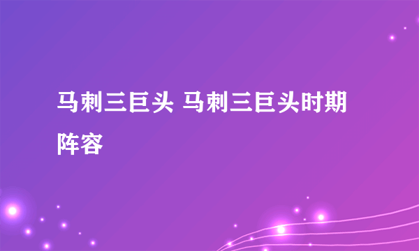 马刺三巨头 马刺三巨头时期阵容